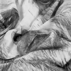 Carré Blanc Housse de couette enfant réversible percale de coton Grizzli|Enfant Housses De Couette